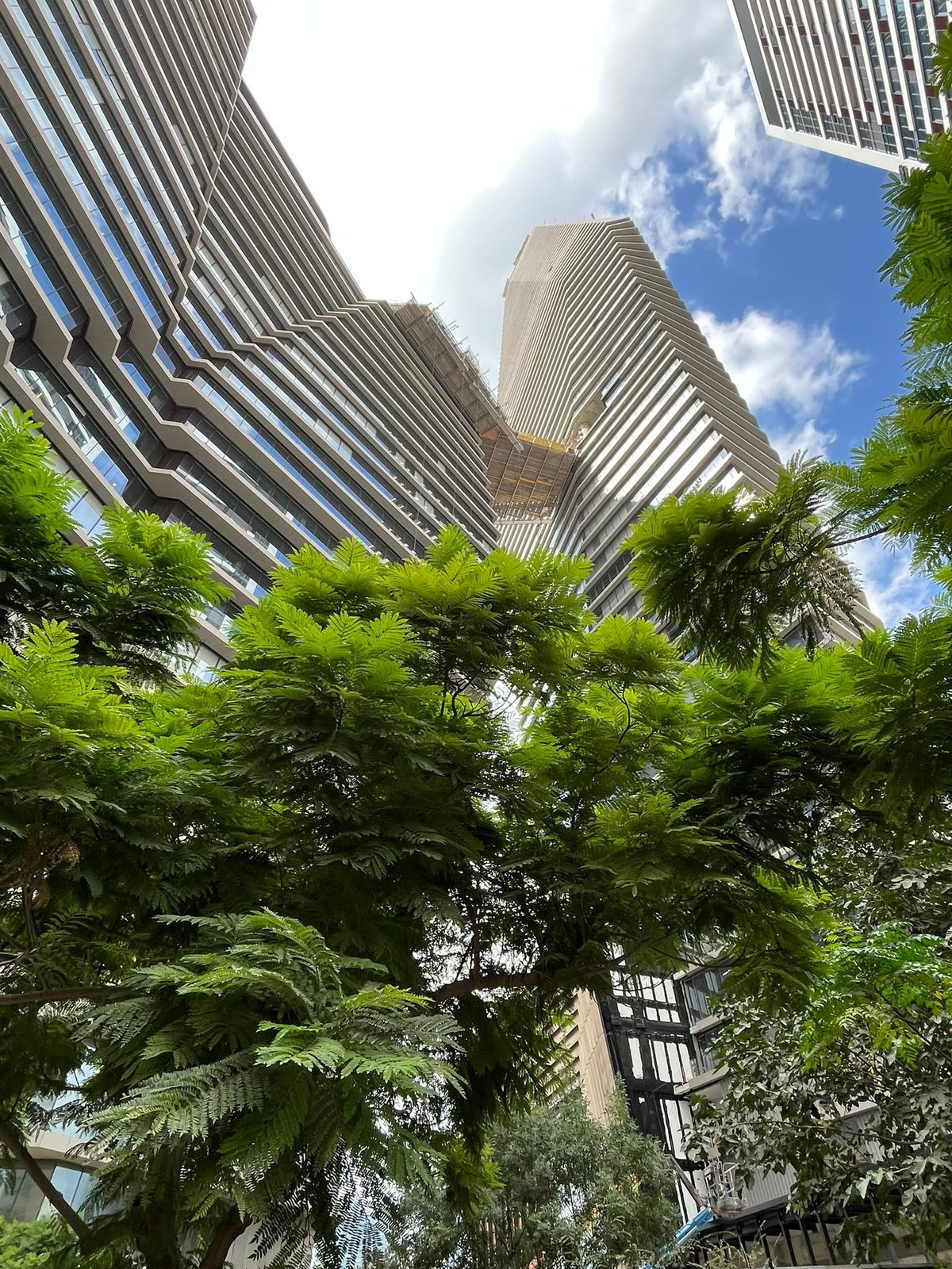 Two towers and the skybridge seen from below through tree foliage, with temporary supports under the bridge during construction